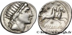 AQUILLIA Denier