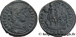 CONSTANS Maiorina