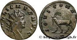 GALLIEN Antoninien SPL