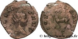GALLIEN Antoninien