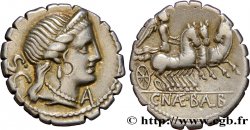 NAEVIA Denier serratus TTB+