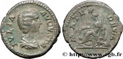 IULIA DOMNA Denier SS
