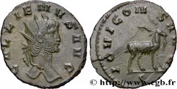 GALLIEN Antoninien SUP