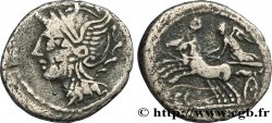 COELIA Denier