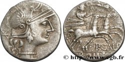 CALPURNIA Denier