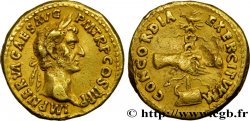 NERVA Aureus XF