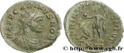 CARINO Aurelianus q.BB