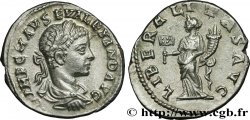 SEVERUS ALEXANDER Denier MS