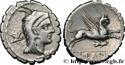 PAPIA Denier serratus AU