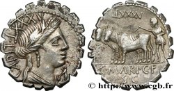 MARIA Denier serratus AU