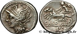 COELIA Denier