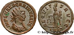 CARINO Aurelianus
