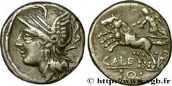 COELIA Denier 