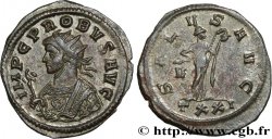 PROBUS Aurelianus MS/MS