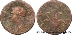 DRUSUS As