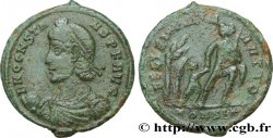 CONSTANS Maiorina