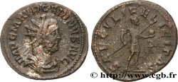 CARIN Aurelianus