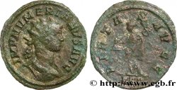NUMERIANO Aurelianus