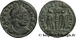 DELMACE Centenionalis ou nummus