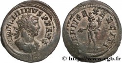 CARINO Aurelianus