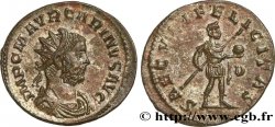 CARIN Aurelianus