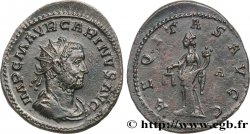CARINO Aurelianus