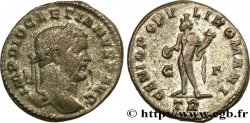 DIOCLETIAN Follis ou nummus