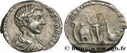 CARACALLA Denier