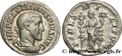 MAXIMINUS I Denier