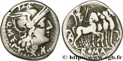 CAECILIA Denier