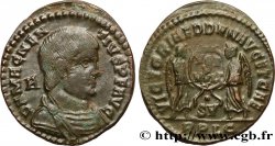 MAGNENTIUS Maiorina