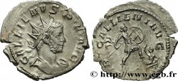 GALLIEN Antoninien SUP