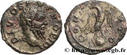 SEPTIMIUS SEVERUS Denier