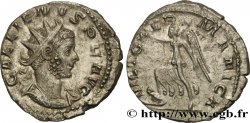 GALLIEN Antoninien SUP