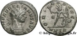 AURELIANO Aurelianus