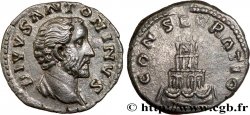 DIVO ANTONINO Denier MS/SPL