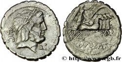 ANTONIA Denier serratus