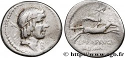 CALPURNIA Denier