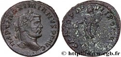 MASSIMIANO ERCOLE Follis ou nummus
