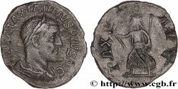 MAXIMINUS I Denier XF