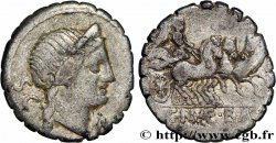 NAEVIA Denier serratus