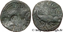 NEMAUSUS - NÎMES - AUGUSTE et AGRIPPA Dupondius COL NEM (as) TTB