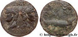 NEMAUSUS - NISMA - AUGUSTO e AGRIPPA Dupondius COL NEM (as)