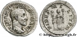MAXIMINUS I Denier