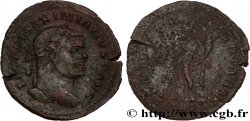 MAXIMIEN HERCULE Follis