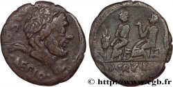 CALPURNIA Denier