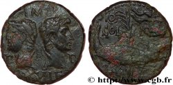 NEMAUSUS - NÎMES - AUGUSTE et AGRIPPA Dupondius COL NEM (as) TB+