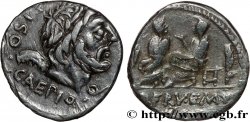 CALPURNIA Denier