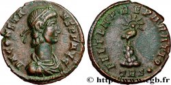 CONSTANS Demi-maiorina