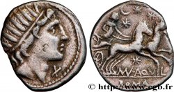 AQUILLIA Denier